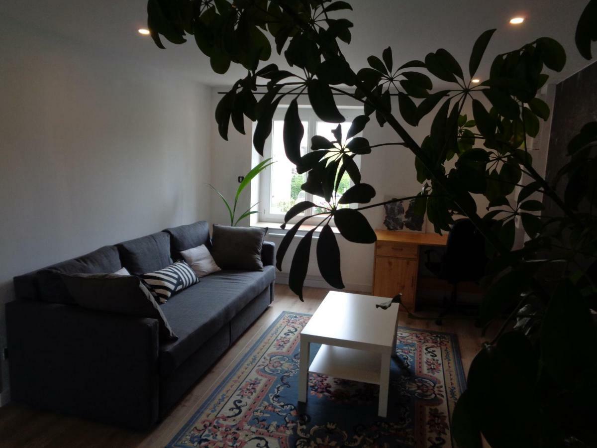 Appartement Independant Le Panassa, Centre Ville, Garage Prive Σαιντ-Ετιέν Εξωτερικό φωτογραφία