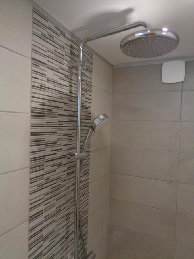 Appartement Independant Le Panassa, Centre Ville, Garage Prive Σαιντ-Ετιέν Εξωτερικό φωτογραφία